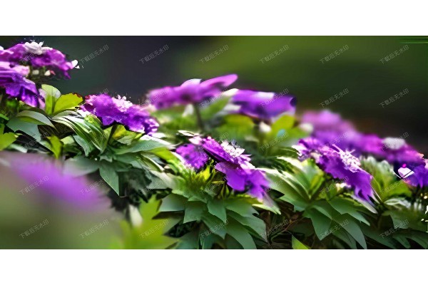 武汉青楼梦桑拿，古韵今风养生地