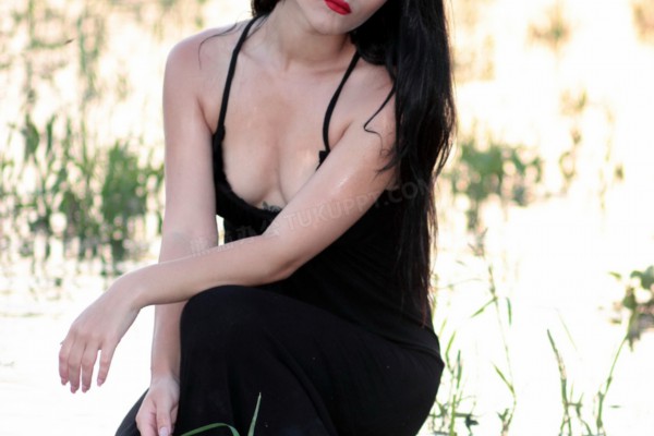 江夏茶香浓，品鉴江夏茶韵